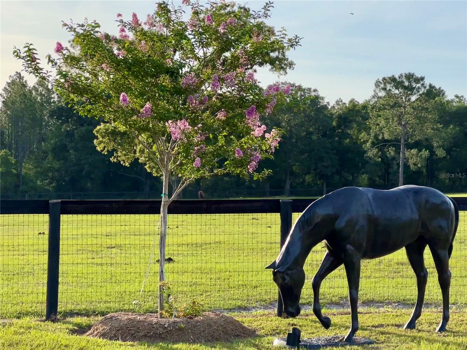 RED TAIL AIRSTRIP - Residential