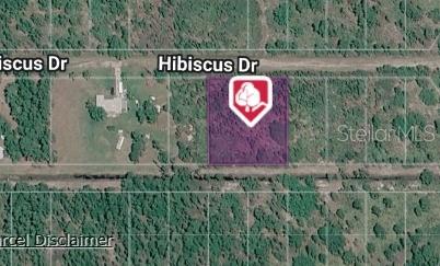 Photo of 311 Hibiscus Drive, Indian Lake Estates, FL 33855 (MLS # O6439362)