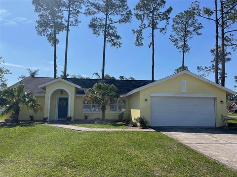 161 BAYSIDE DRIVE PALM COAST FL 32137