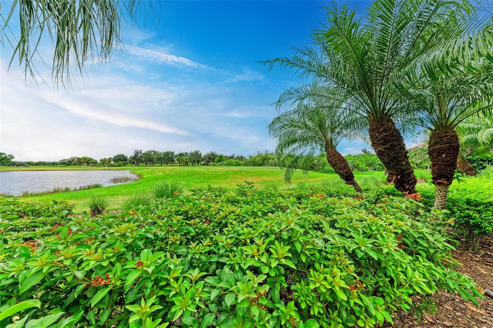 FOUNDERS CLUB - Residential