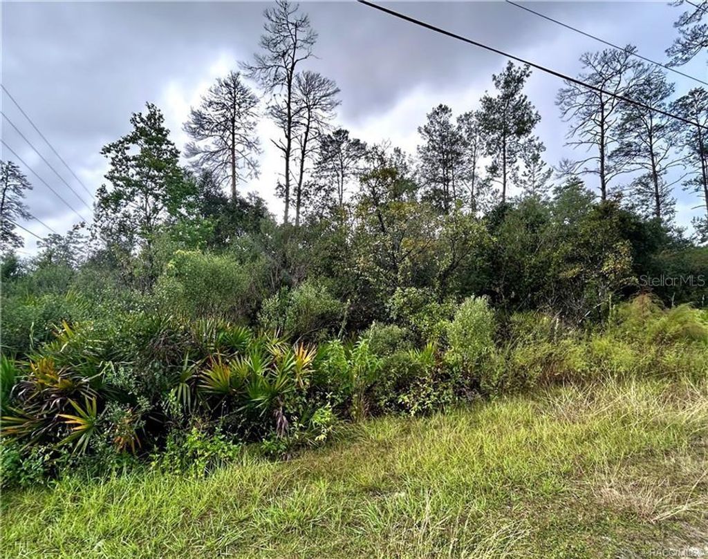 Photo of 6480 N Pueblo Terrace, Beverly Hills, FL 34465 (MLS # OM711178)