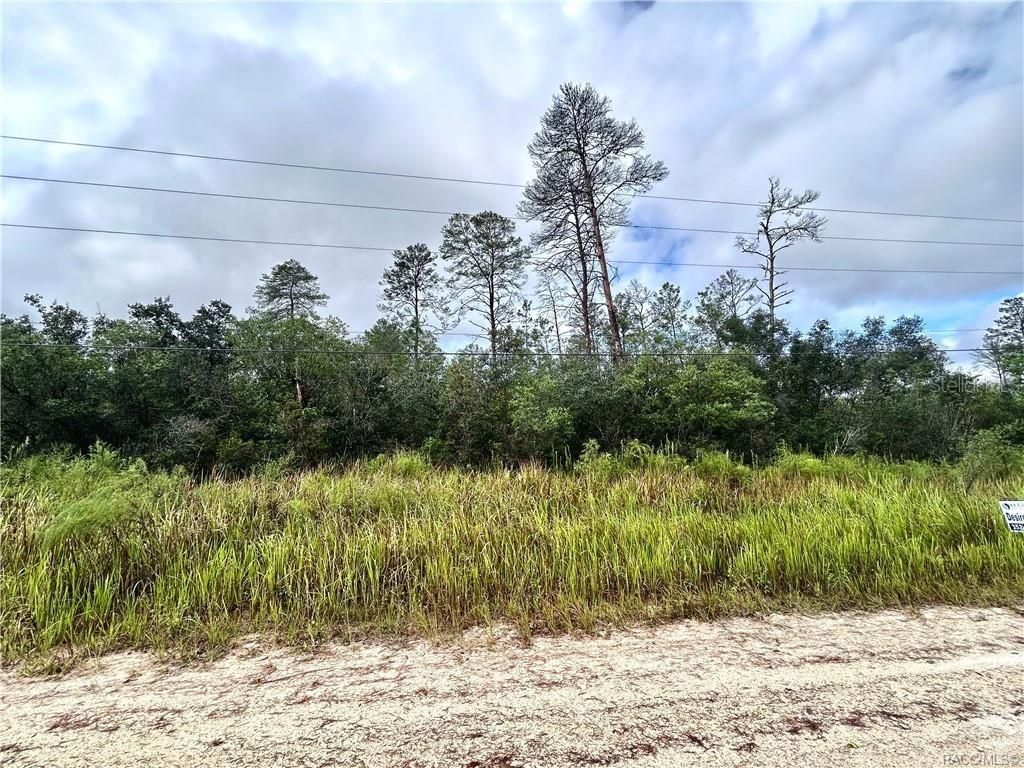 Photo of 6480 N Pueblo Terrace, Beverly Hills, FL 34465 (MLS # OM711178)