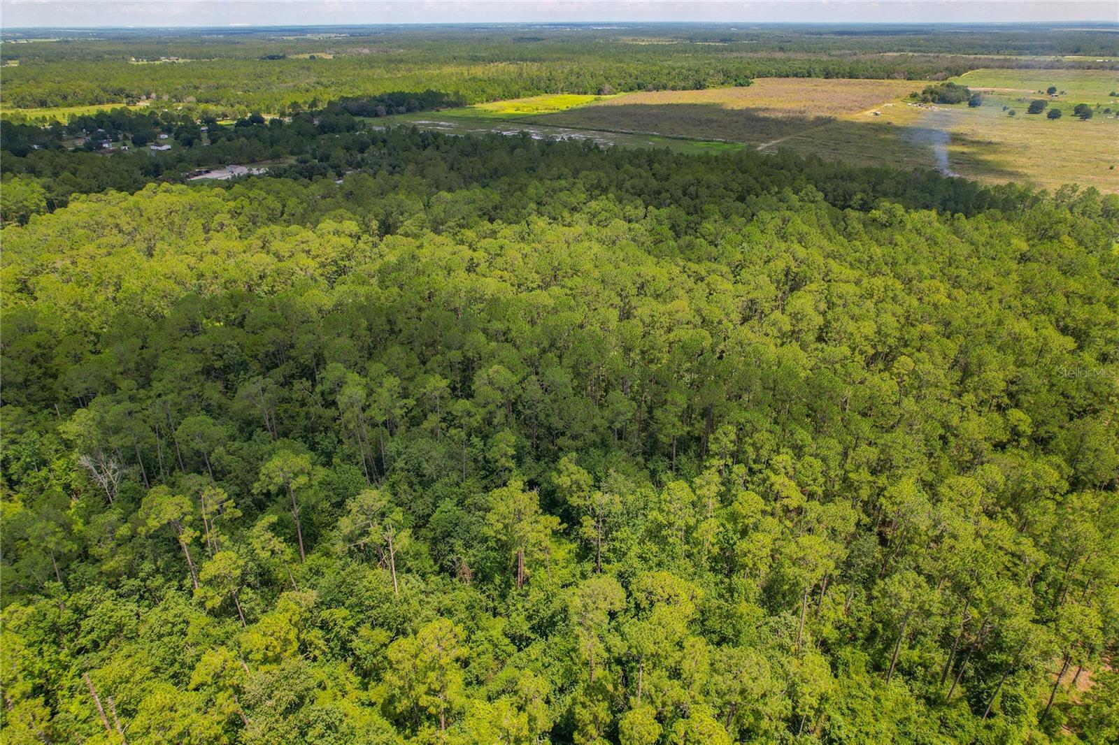 OAKRIDGE ESTATES - Land