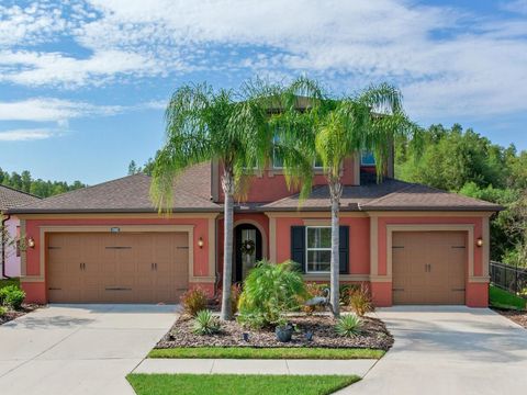 A home in WESLEY CHAPEL