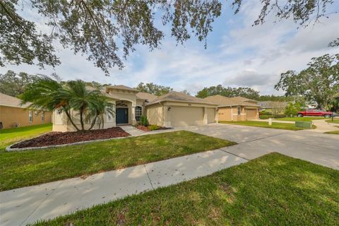 A home in VALRICO