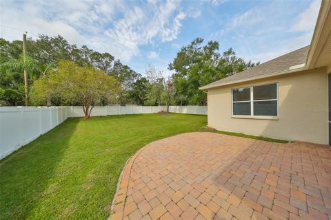 A home in VALRICO