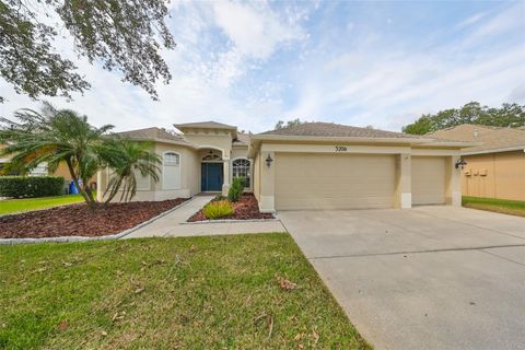 A home in VALRICO