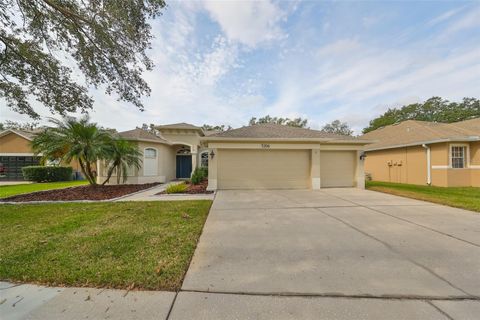 A home in VALRICO