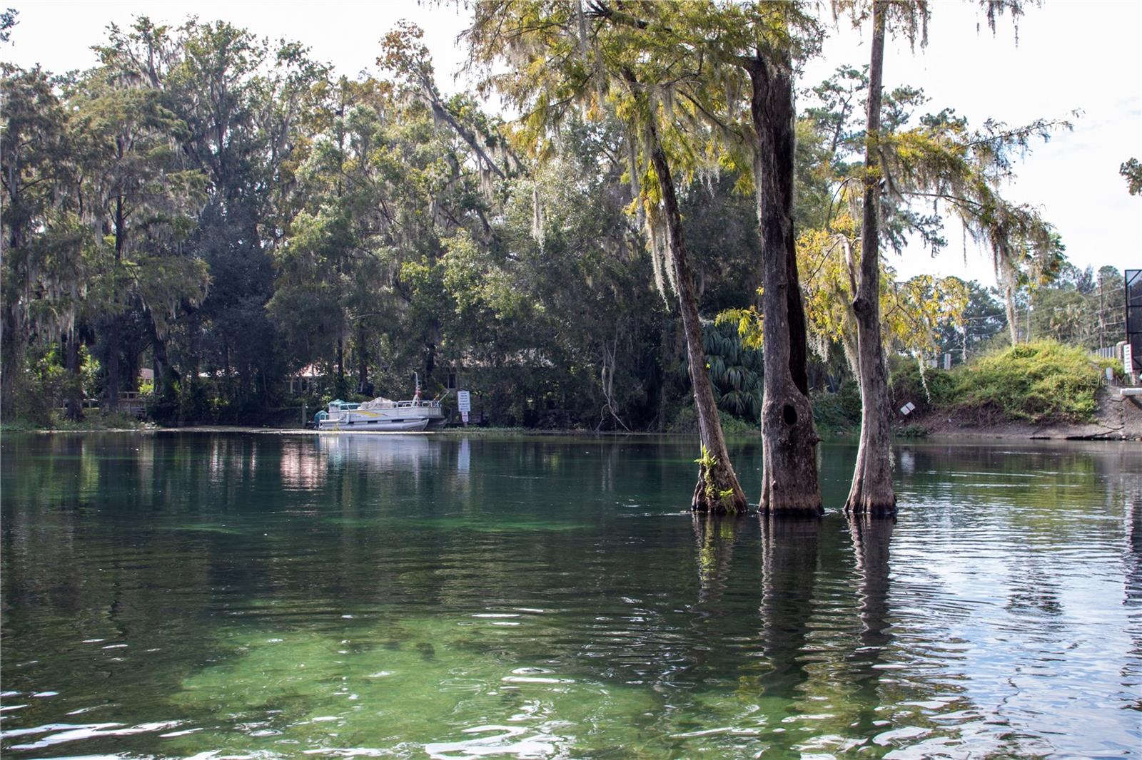 TOWN/DUNNELLON - Residential