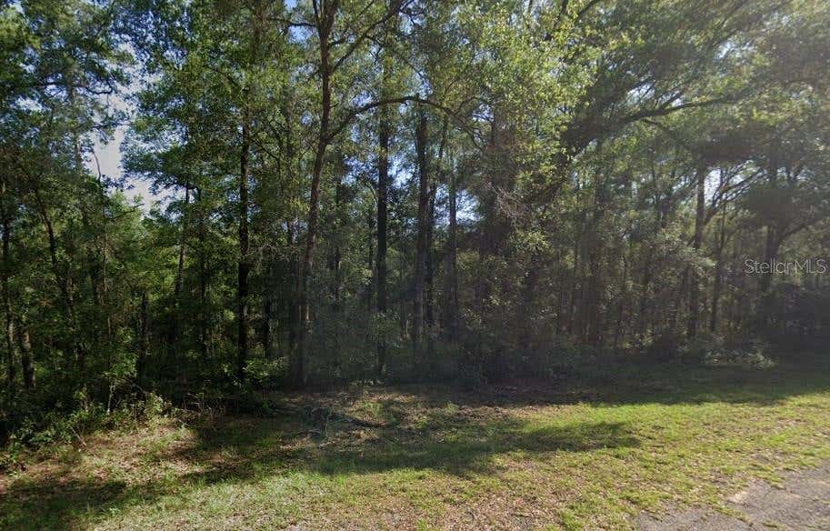 Photo of 471 E Avondale Drive, Citrus Springs, FL 34434 (MLS # TB8534610)