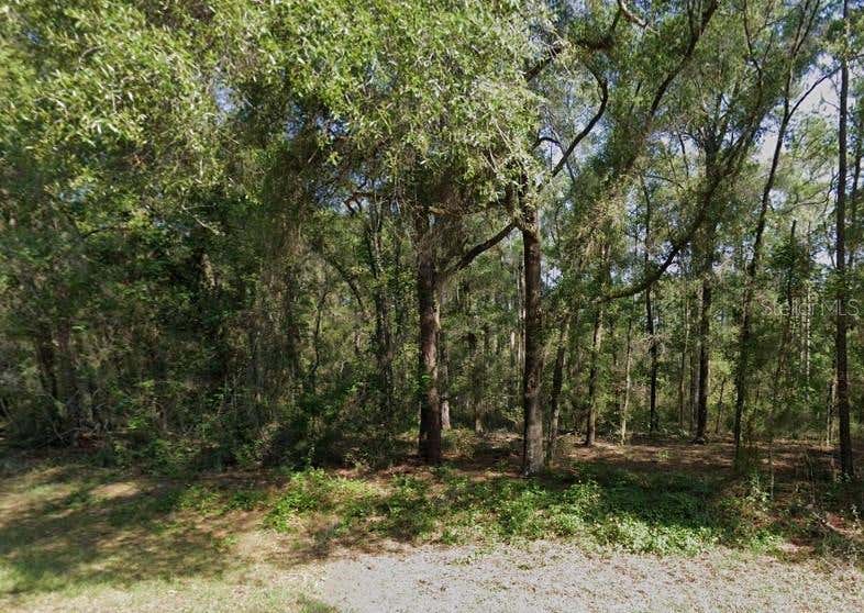 Photo of 471 E Avondale Drive, Citrus Springs, FL 34434 (MLS # TB8534610)