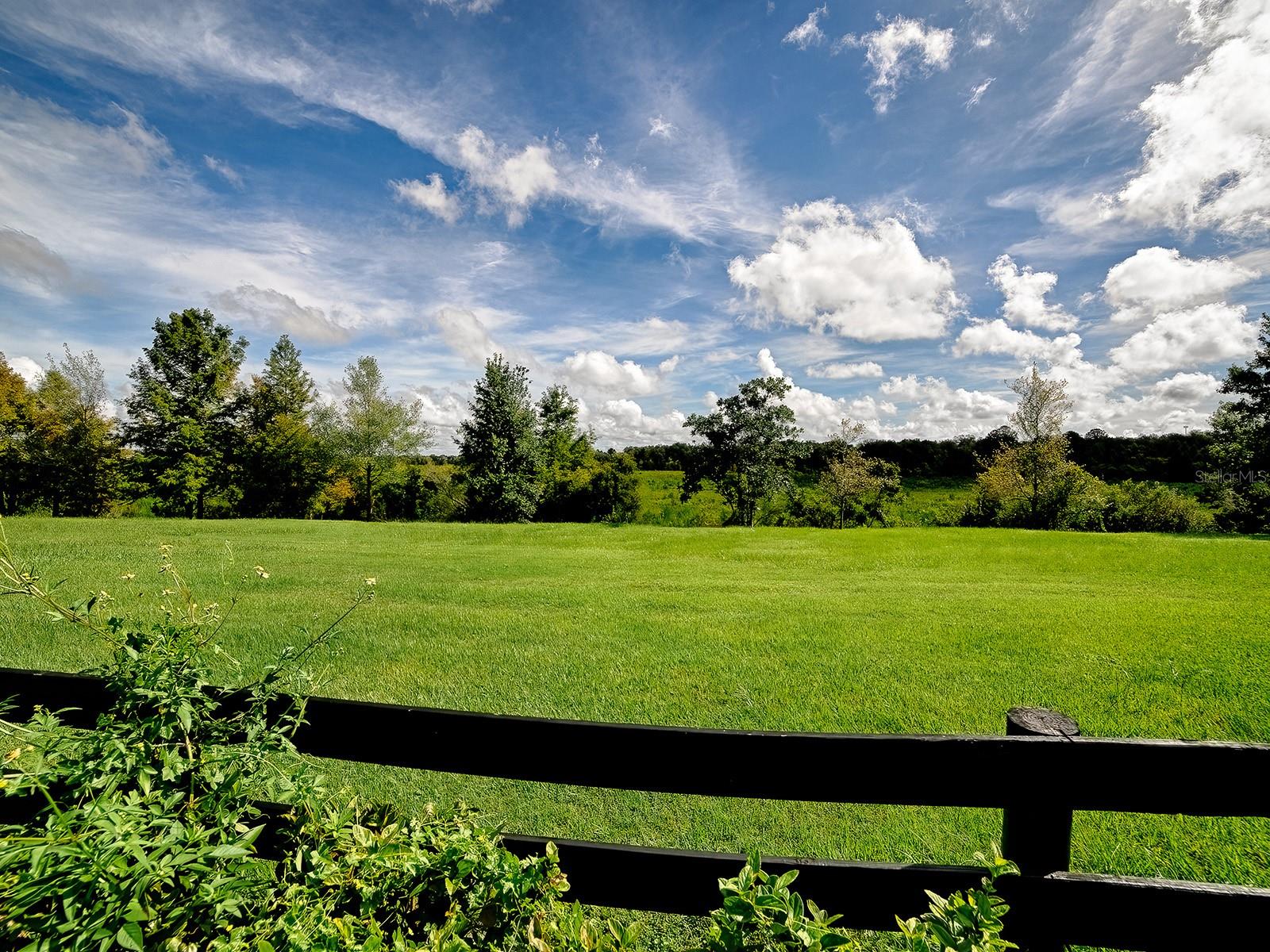 1089 VANCE TRAIL