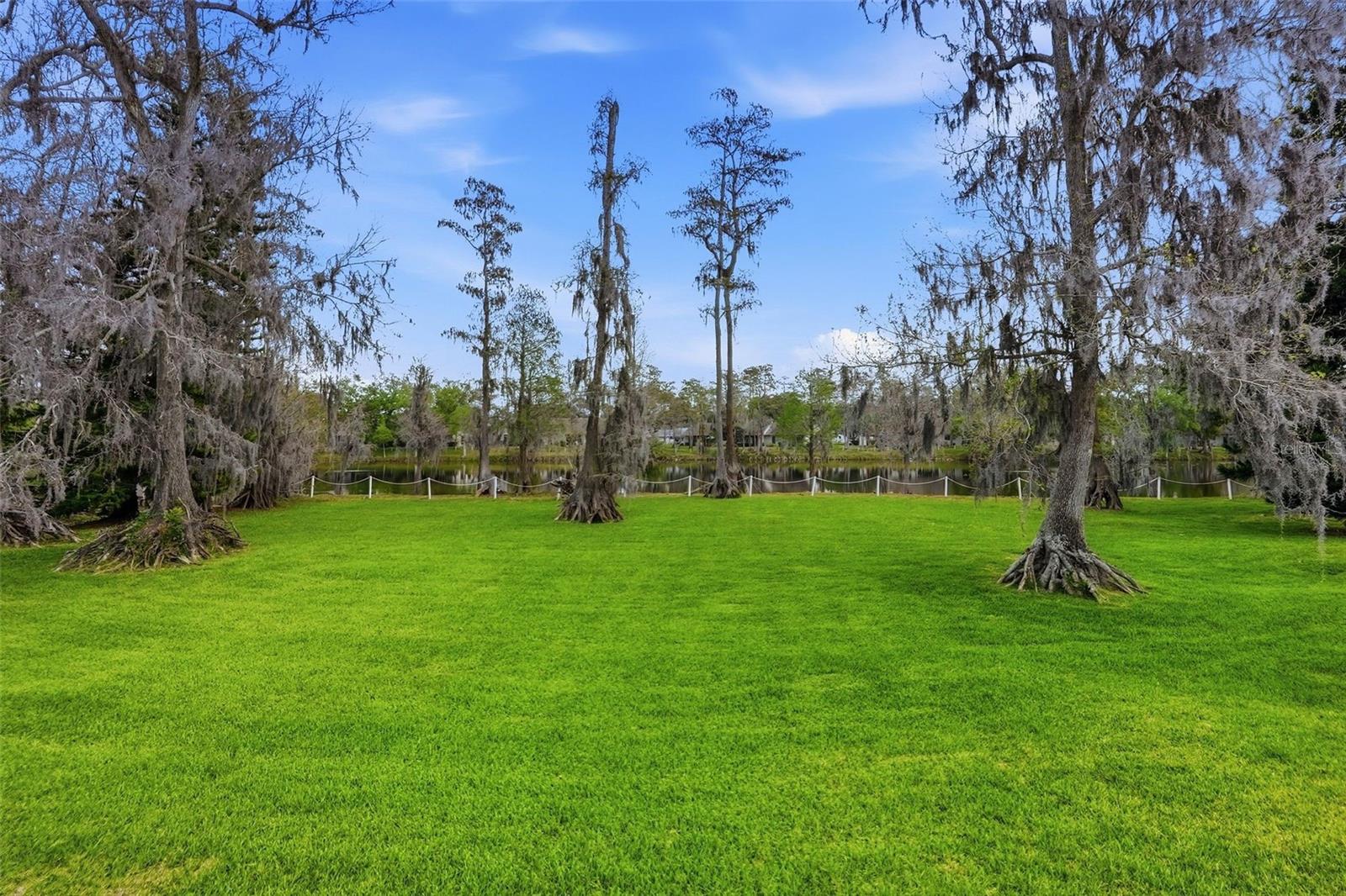VILLAGE ON THE GREEN - Residential