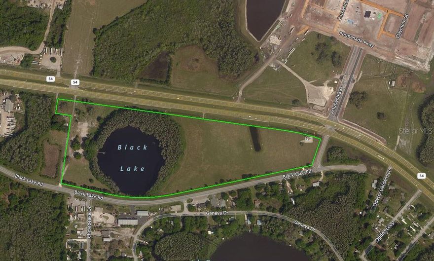 Under contract-accepting backup offers. Prime development site in the SR 54 corridor. 33.72± gross acres. Zoned MPUD with land use of PD.  Previously entitled for 135,000± SF and 250± hotel rooms.