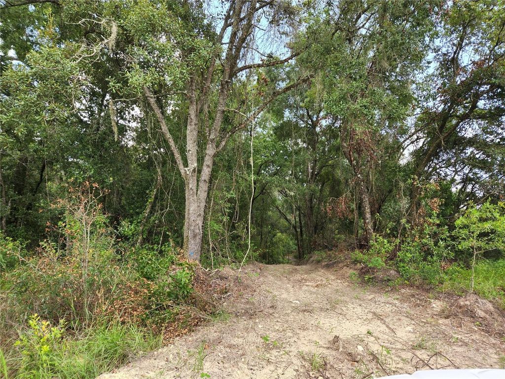 Photo of 17454 Us 41, Spring Hill, FL 34610 (MLS # U8232493)