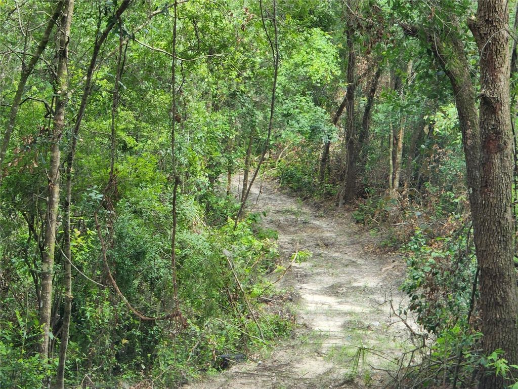 Photo of 17454 Us 41, Spring Hill, FL 34610 (MLS # U8232493)