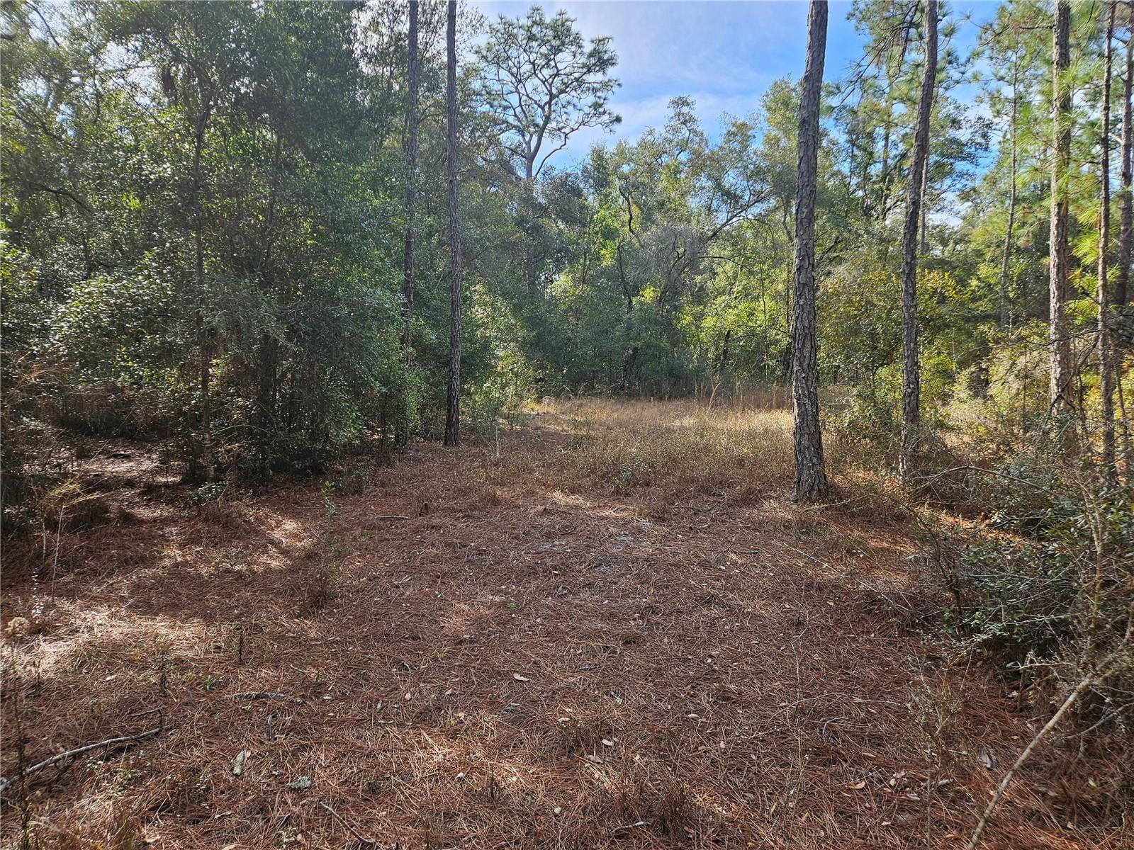 RIDGE MANOR ESTATE - Land