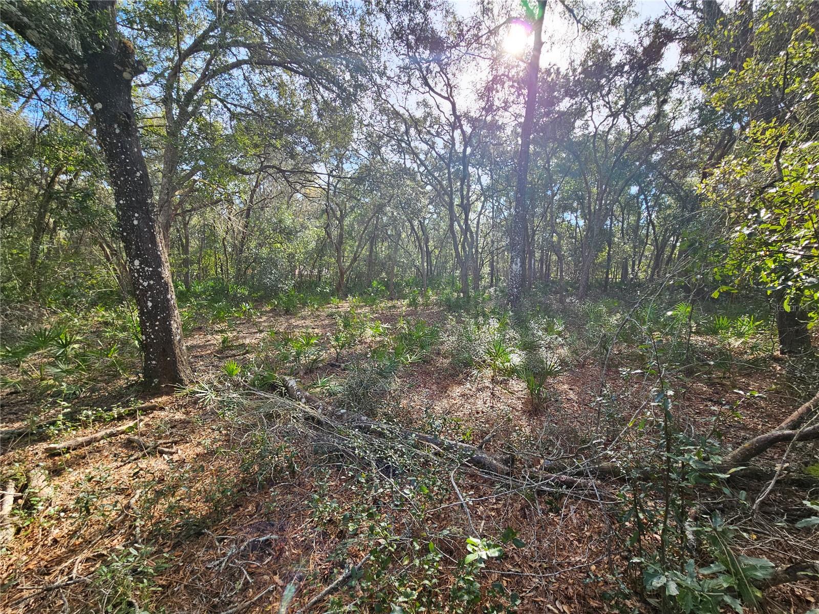 RIDGE MANOR ESTATE - Land