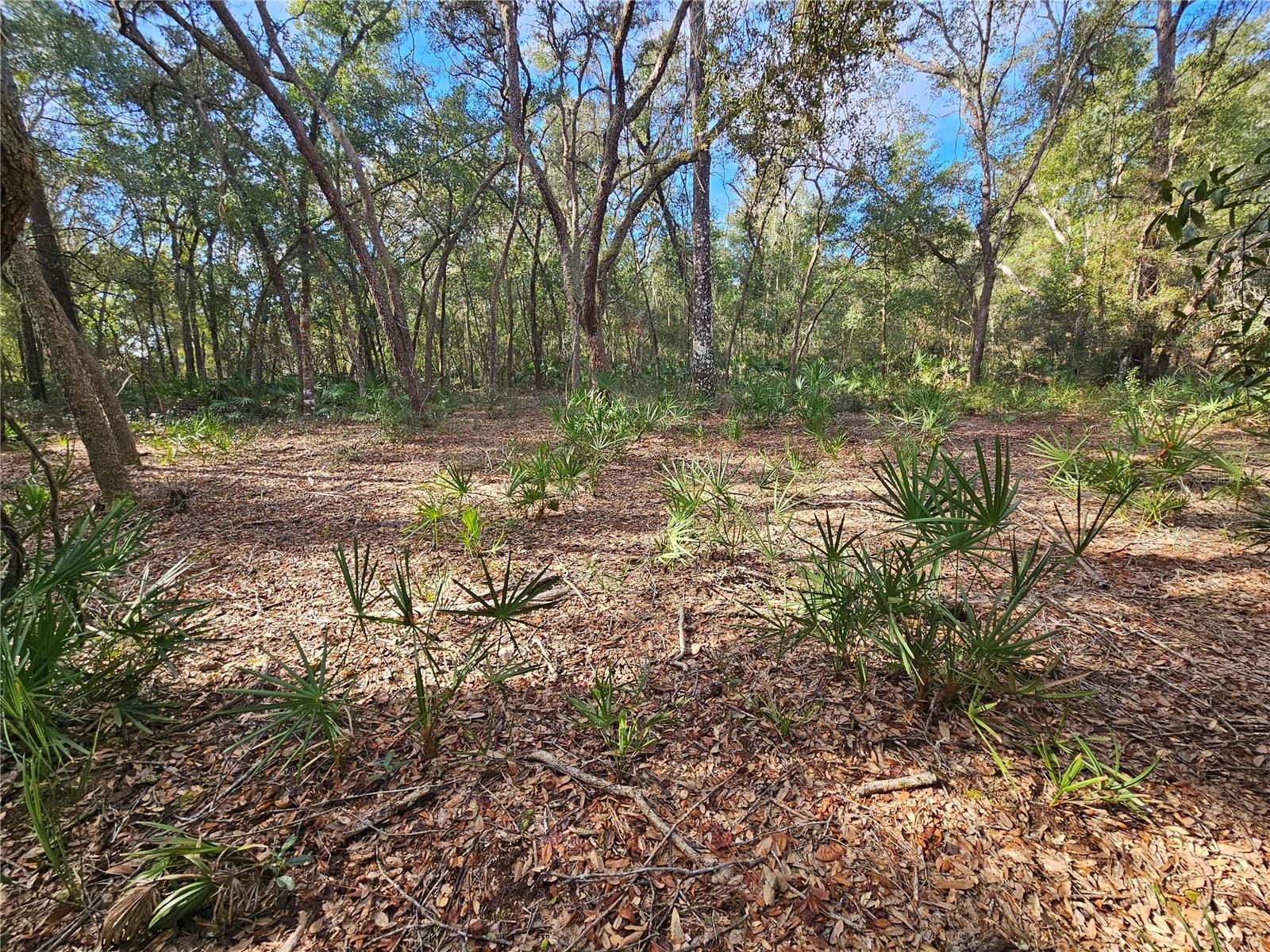 RIDGE MANOR ESTATE - Land
