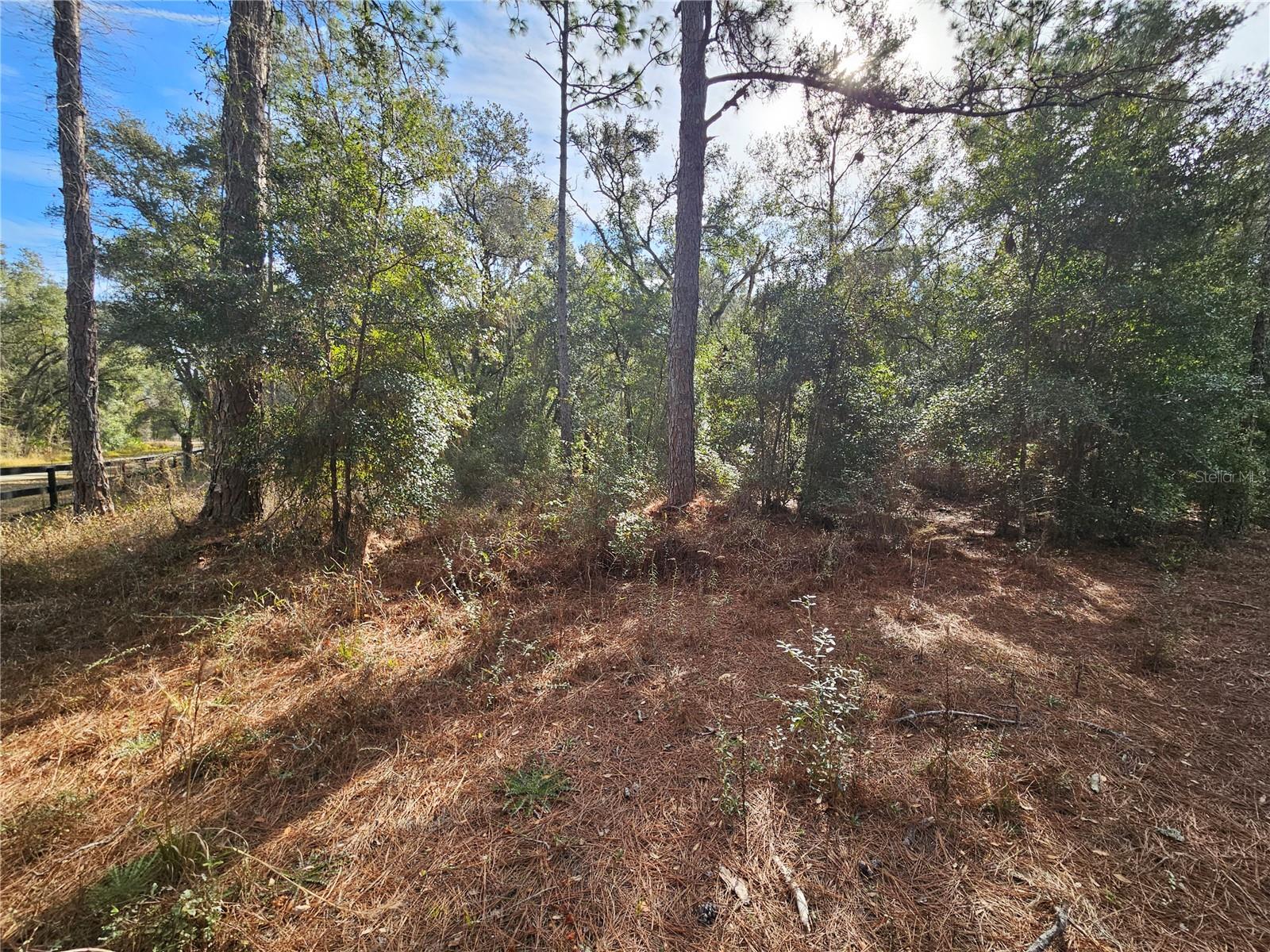 RIDGE MANOR ESTATE - Land