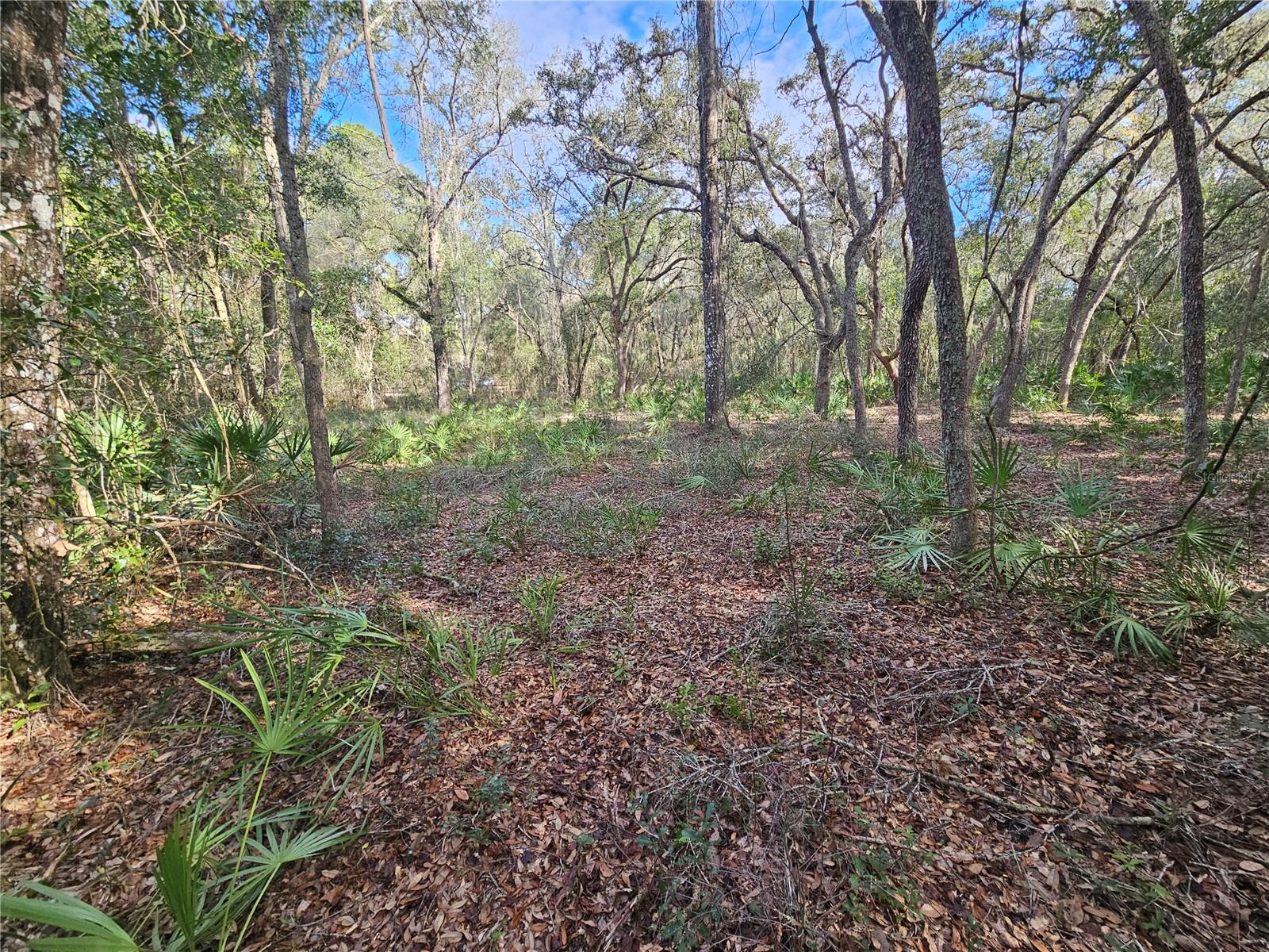 RIDGE MANOR ESTATE - Land