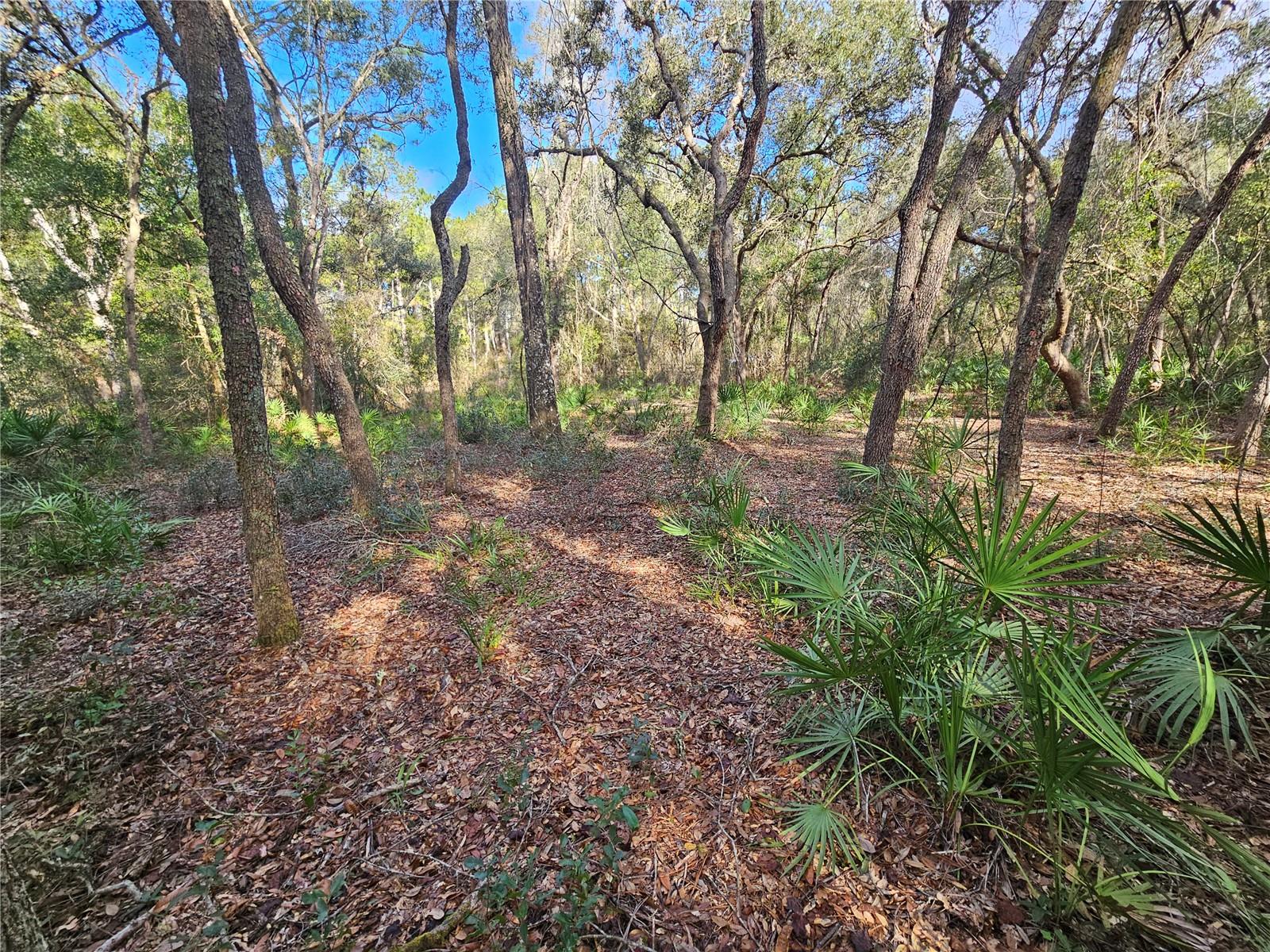 RIDGE MANOR ESTATE - Land