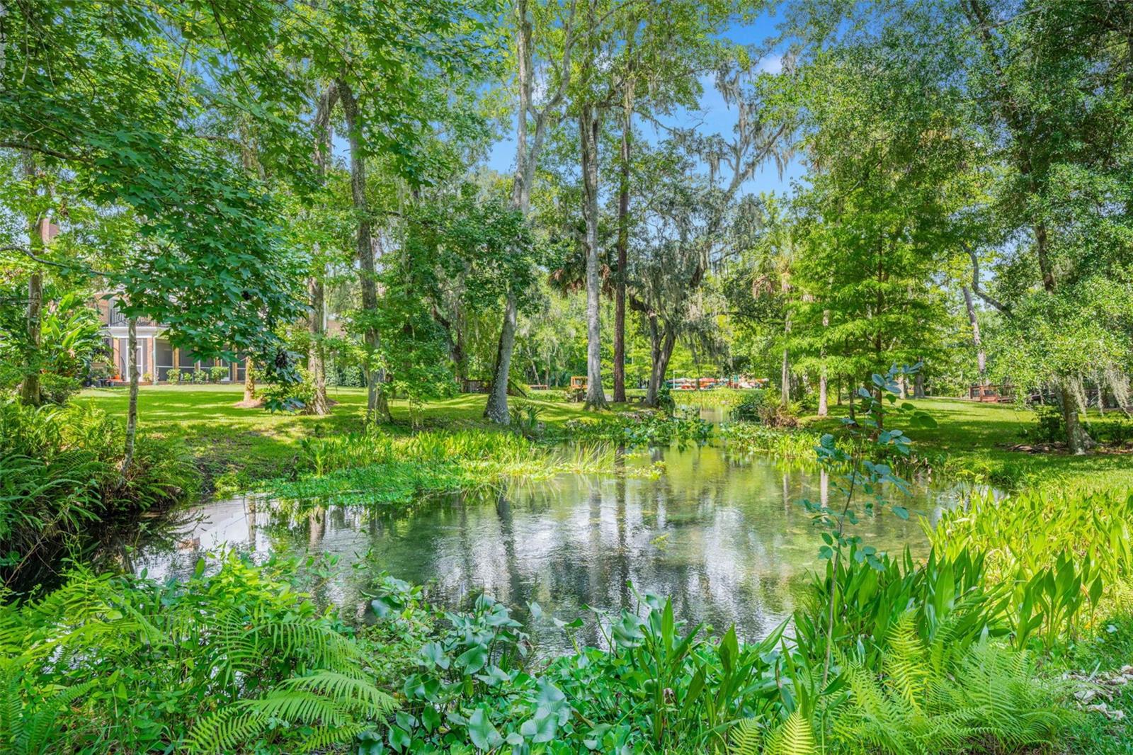 SWEETWATER SPGS - Residential