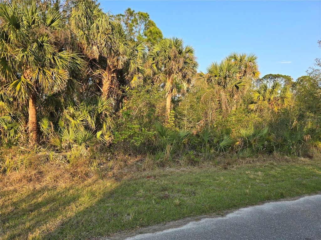 Photo of 348 Ramblewood Street, Port Charlotte, FL 33953 (MLS # C7506533)