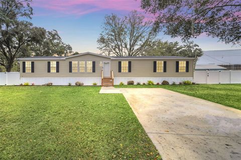 A home in POLK CITY