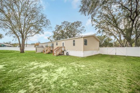 A home in POLK CITY