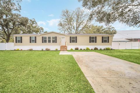 A home in POLK CITY