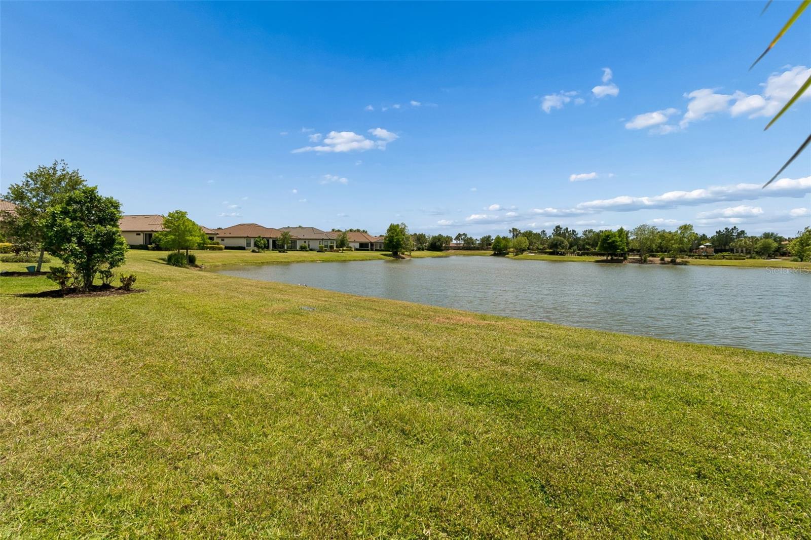 ESPLANADE AT STARKEY RANCH PHASES 2A - Residential