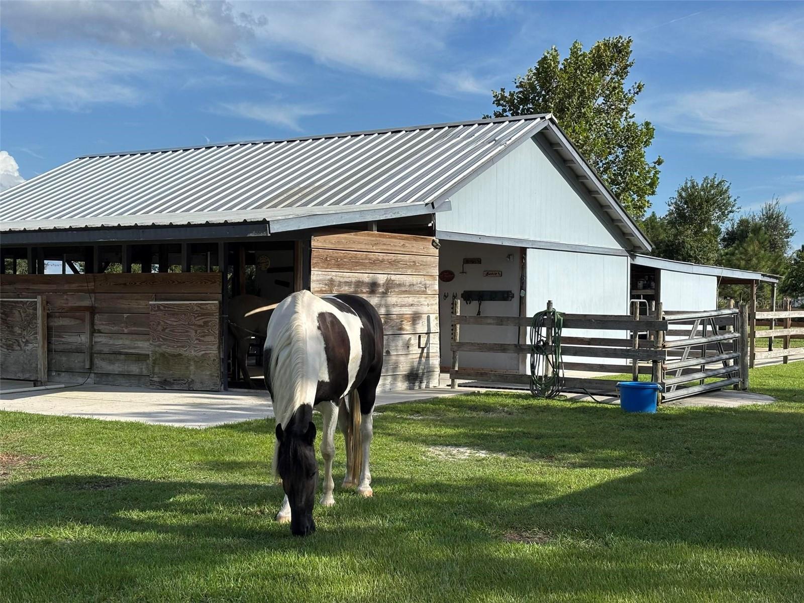 MYAKKA VALLEY RANCHES - Residential