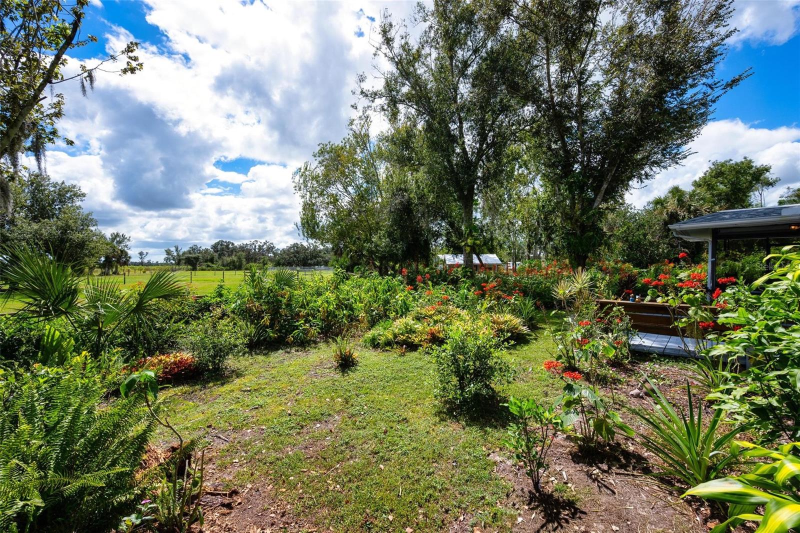 MYAKKA VALLEY RANCHES - Residential