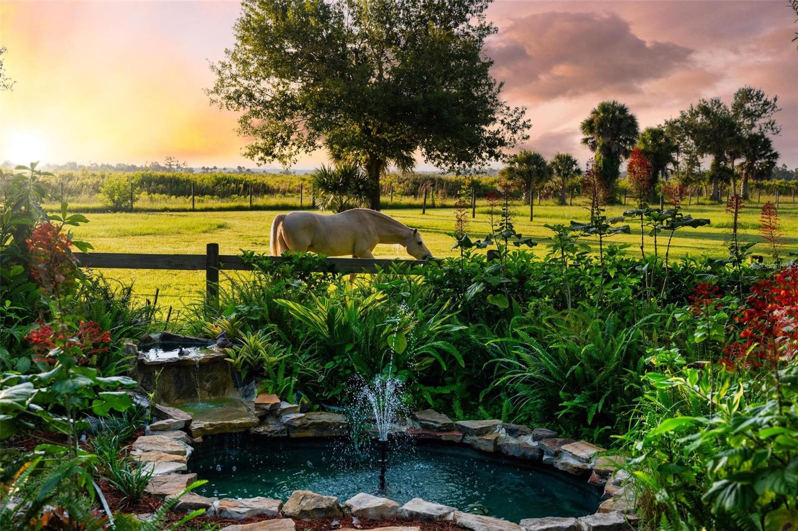 MYAKKA VALLEY RANCHES - Residential