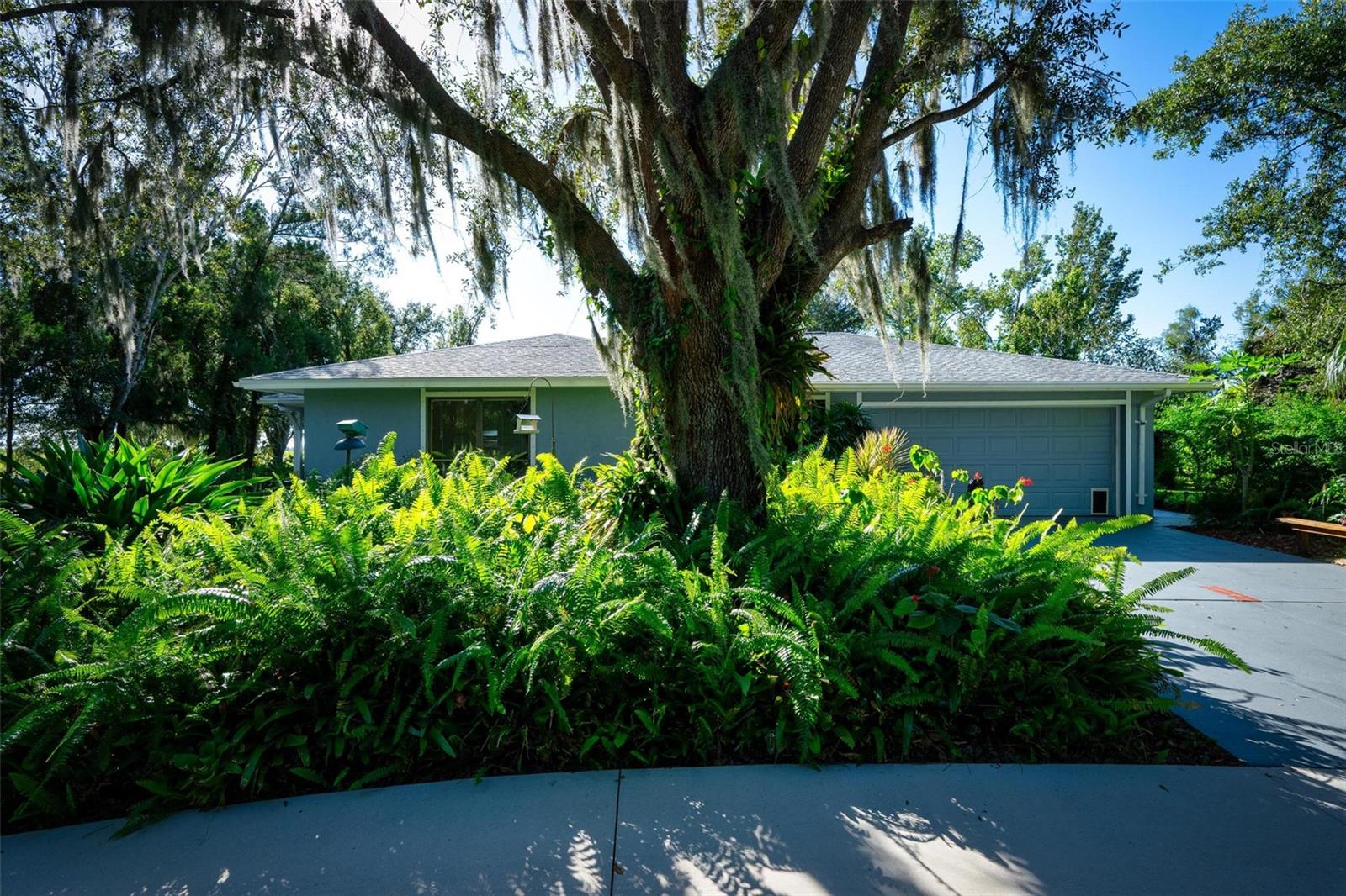 MYAKKA VALLEY RANCHES - Residential