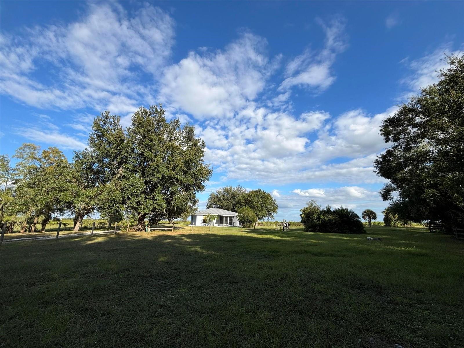 MYAKKA VALLEY RANCHES - Residential