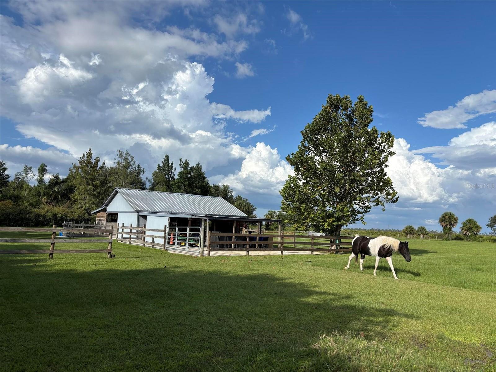 MYAKKA VALLEY RANCHES - Residential