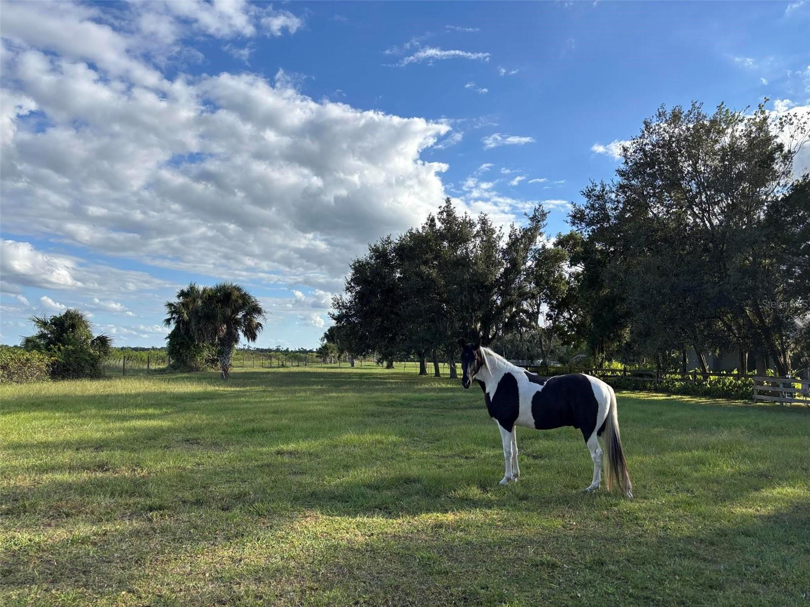 MYAKKA VALLEY RANCHES - Residential