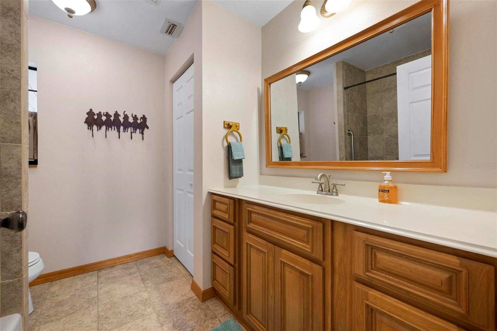 MYAKKA VALLEY RANCHES - Residential