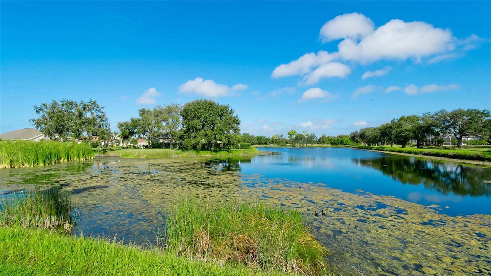 GLENN LAKES PH 6 - Residential