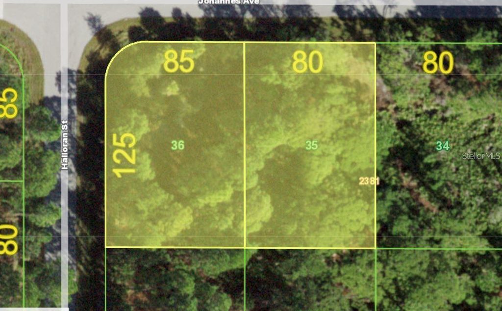 Photo of 13069 Johannes Avenue, Port Charlotte, FL 33953 (MLS # TB8471112)