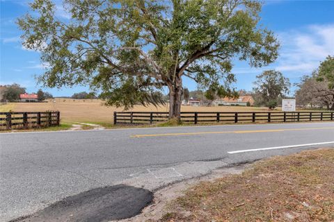 Tiny photo for Wolf Branch Road, Sorrento, FL 32776 (MLS # G5106945)
