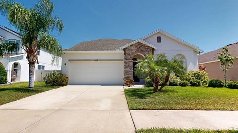 11623 TETRAFIN DRIVE RIVERVIEW FL 33579