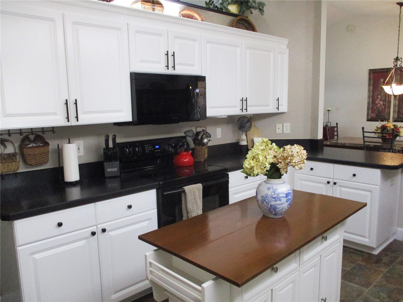 SPRUCE CREEK PRESERVE 03 - Residential