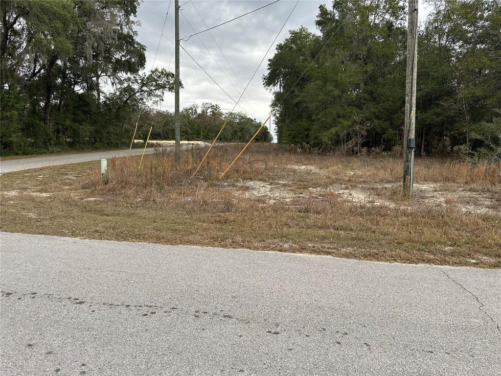 Photo of SW Shorewood Drive, Dunnellon, FL 34431 (MLS # OM716856)