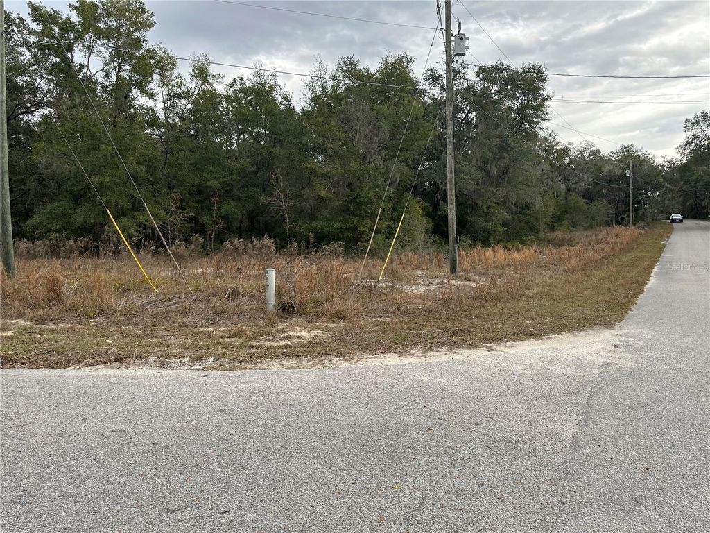 Photo of SW Shorewood Drive, Dunnellon, FL 34431 (MLS # OM716856)