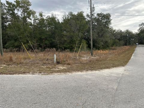 Photo of SW Shorewood Drive, Dunnellon, FL 34431 (MLS # OM716856)