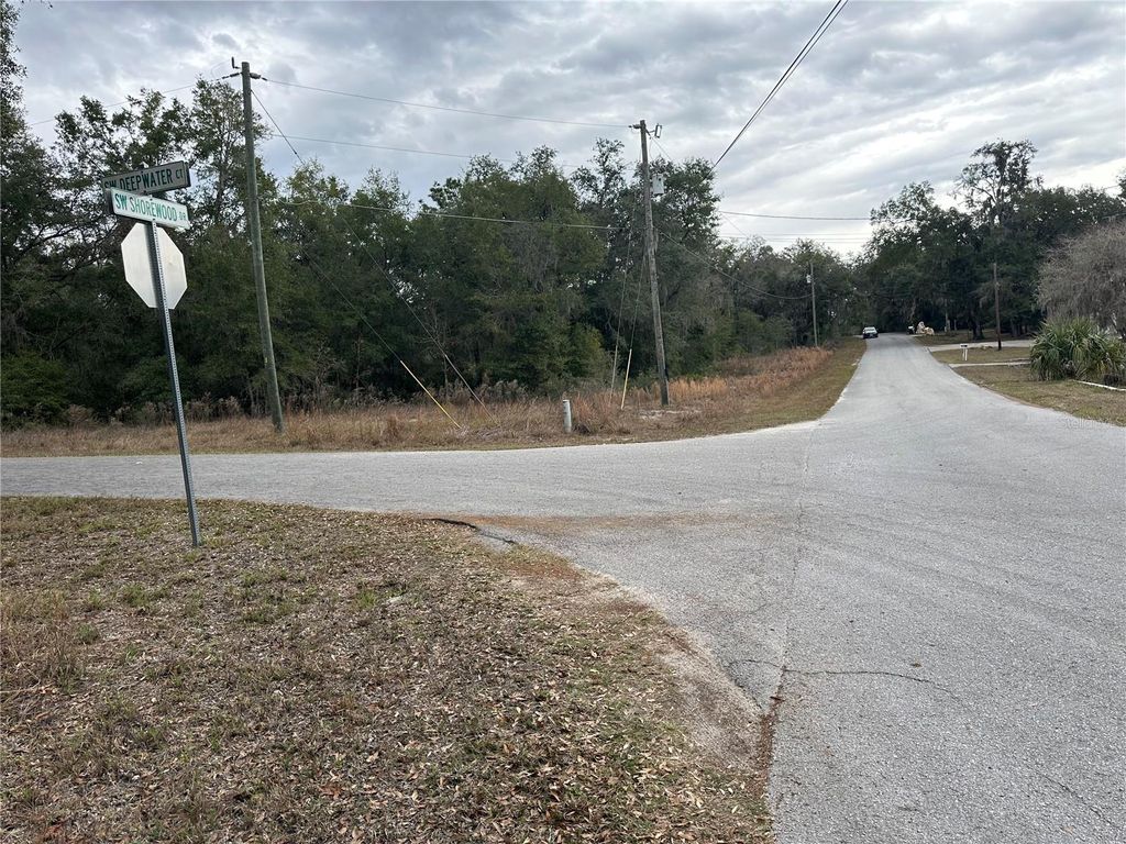 Photo of SW Shorewood Drive, Dunnellon, FL 34431 (MLS # OM716856)