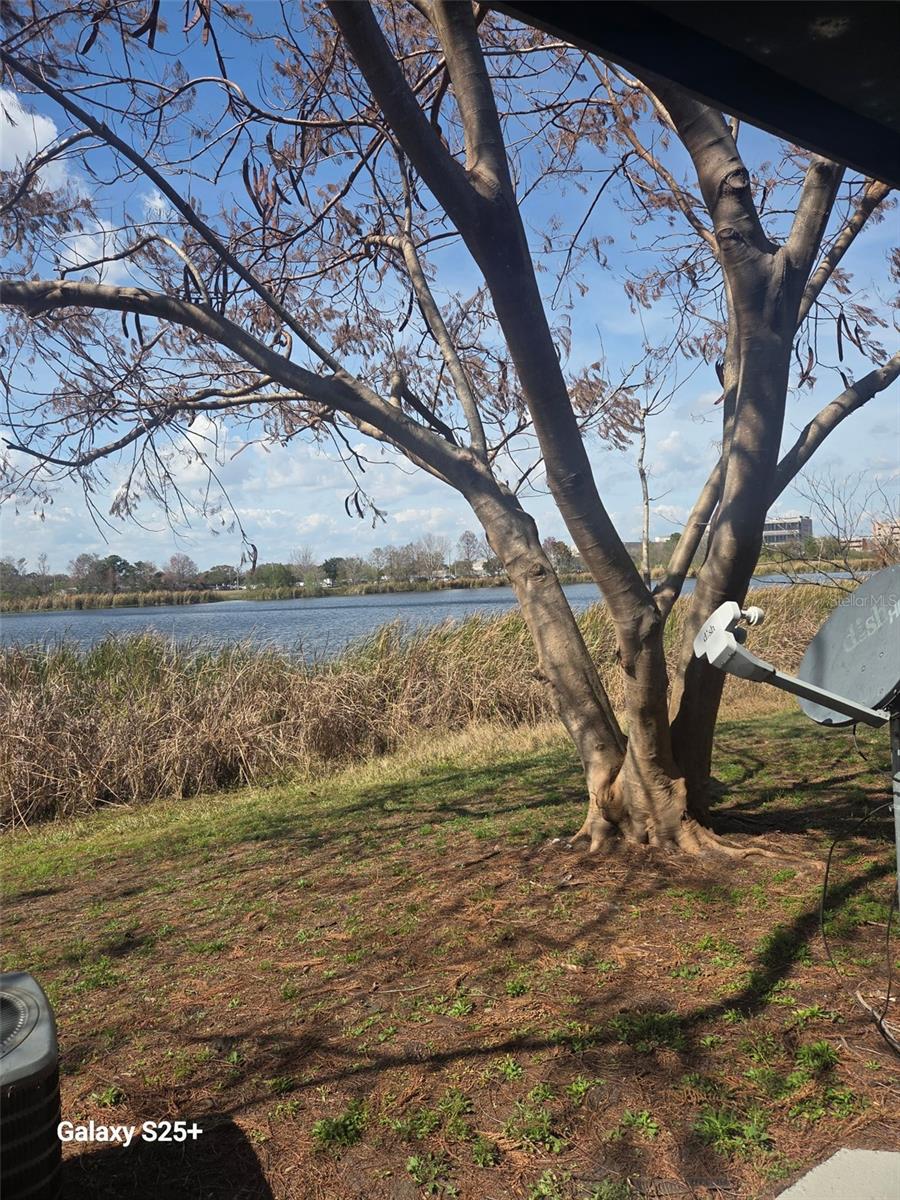 LEMON TREE CONDO SECTION 1 - Residential